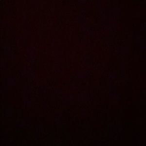 Meet your Posher, Daisy